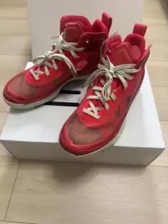 【レア】AIR JORDAN37 RUI 27cm 八村塁のサムネイル