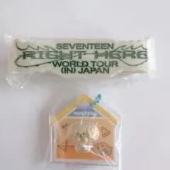 2026年最新】ラバーバンド seventeenの人気アイテム - メルカリ