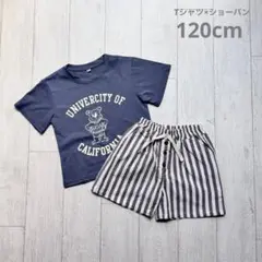 【新品】90cm 韓国ベビー　Tシャツ・ショートパンツ セット　⑤