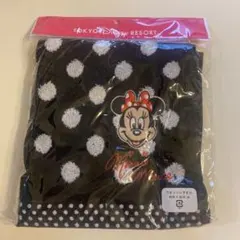 東京ディズニーリゾート ミニーマウス ウォッシュタオルのサムネイル