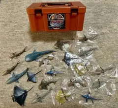 カロラータ 立体図鑑 SHARKS シャーク・ボックス オリジナルフィギュア