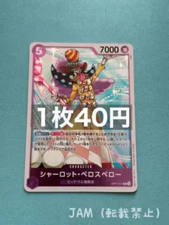 pojinaru様 リクエスト 3点 まとめ商品