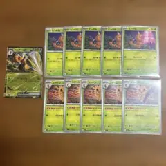 スピアー ex ビードル　コクーン　11枚　進化ライン　ニンジャスピナー