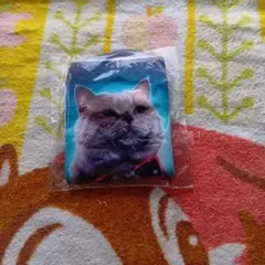 貓臉抱枕 約15公分