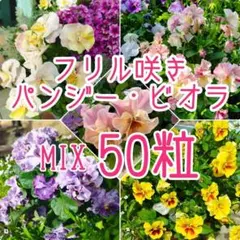 シャーロット様 リクエスト 2点 まとめ商品