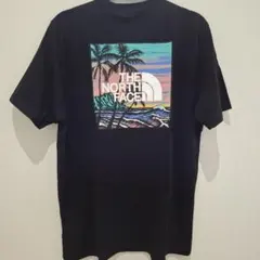 【US限定】THE NORTH FACE ブラック Tシャツ L/G