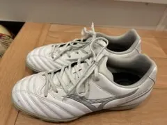 モナルシーダ23.5