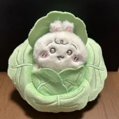 ちいかわベビー　うさぎ　キャベツ　マスコット