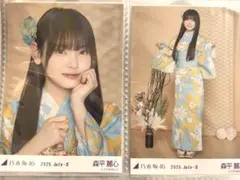 Item thumbnail for item a4a04f7b-0501-4d3f-91d3-2d99dfcd8f7c