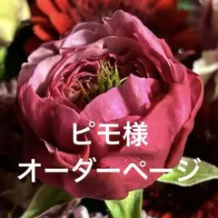⭐︎ピモ様オーダーページ⭐︎