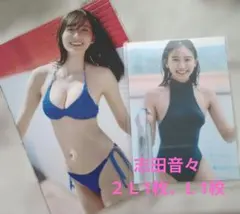2026年最新】志田 チェキの人気アイテム - メルカリ