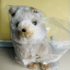 2025年最新】SUNLEMON ゲーム・おもちゃ・グッズの人気アイテム - メルカリ