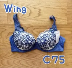 ワコール Wing ナチュラルアップブラ C75 ブラジャー ウイング BU