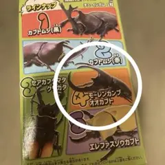 モーレンカンプ　オオカブト　フィギュア