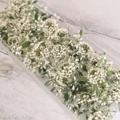 Item thumbnail for item 9d5aab8e-7bdb-4563-8d57-175ae7a348b2