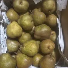 メルマーちゃん❤️様