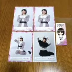2026年最新】関有美子 生写真の人気アイテム - メルカリ