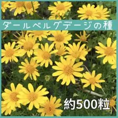 mu-chan様 リクエスト 2点 まとめ商品