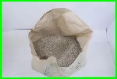 ◆くず米　玄米10.5キロ◆栽培期間中無農薬◆キヌヒカリ◆ニワトリなどのエサに!のサムネイル