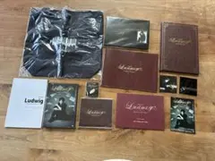 中村倫也 ルードヴィヒ 通常版DVD&amp;おまけ特典セット ディスク未開封 2025年最新】ルードヴィヒ 中村倫也 dvdの人気アイテム - メルカリ