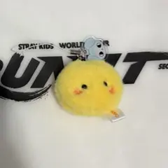2026年最新】STRAYkids フィリックス キーホルダーの人気アイテム