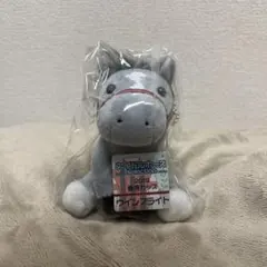 2025年最新】ウインブライト アイドルホースの人気アイテム - メルカリ