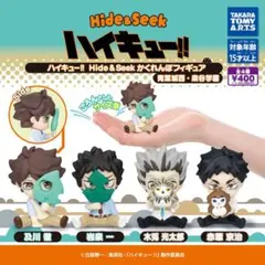 ハイキュー!HideSeek かくれんぼフィギュア青葉城西・梟谷学園全4種セット