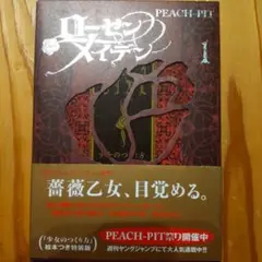 ローゼンメイデン 1 特装版 ※5巻特装版も出品中です