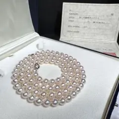 Item thumbnail for item 99f632dc-d405-4bb9-ae08-287e42d5d755