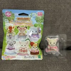 フェネックの赤ちゃん カレブ どきどきコレクション -赤ちゃんティータイム-