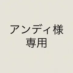 アンディ様　専用