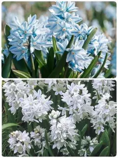 ynztangon様 リクエスト 3点 まとめ商品