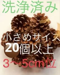 52❤️松ぼっくり❤️ 3〜5cm位 20個セット