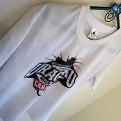 Item thumbnail for item 4bd99ca6-9e17-4d8e-b4db-54fa740b30b8