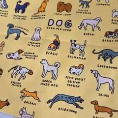 生地 ZERO PER ZERO ゼロパーゼロ オックス生地 DOG