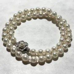 Item thumbnail for item 03d1079e-fa5e-4ae3-ae1e-1c80c7e27d22