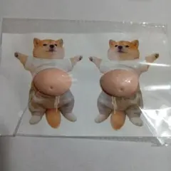 お腹　ぽっこり　シリコン　ぷにぷに　ステッカー　柴犬　シール　お腹シール　大の字