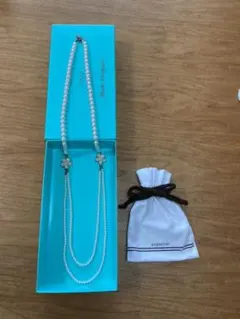 Item thumbnail for item c372b2f0-98ed-4c46-b2ff-3825f8121cec