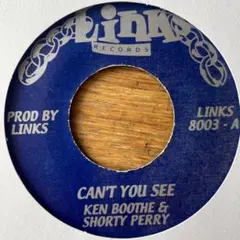 SKA and ROCKSTEADY KODAMA 赤色レコード - メルカリ