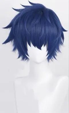 あんさんぶるスターズ!! あんスタ 伏見弓弦 ふしみゆづる ウィッグ
