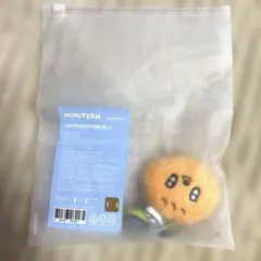 SEVENTEEN MINITEEN デコバンド スングァン プギュリ - メルカリ