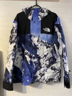 THE NORTH FACE × Supreme 17AW マウンテンジャケット