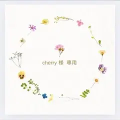 Cherry様専用ページ