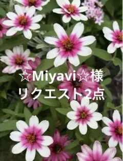 ☆Miyavi☆様 リクエスト 2点 まとめ商品