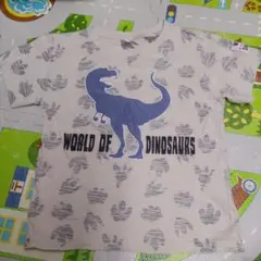 恐竜Ｔシャツ【120サイズ】