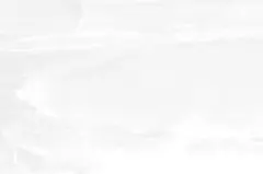 りこぴん様専用