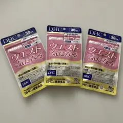 DHC ウエスト気になる 30日分 2粒×3袋のサムネイル