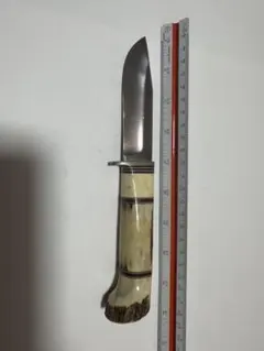 Item thumbnail for item b099fc9a-5fe9-4105-8212-44756968fca4