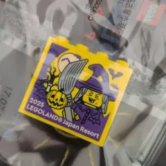 Item thumbnail for item 266974fd-a690-49b8-bf8b-41e8414e24bf