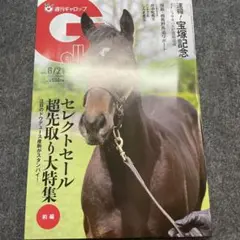 2026年最新】週刊ギャロップの人気アイテム - メルカリ